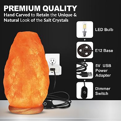 Himalayan Glow Salt Lamp, Pink Crystal Salt, Neem Wood Base, Dimmer Switch , 9 Lbs