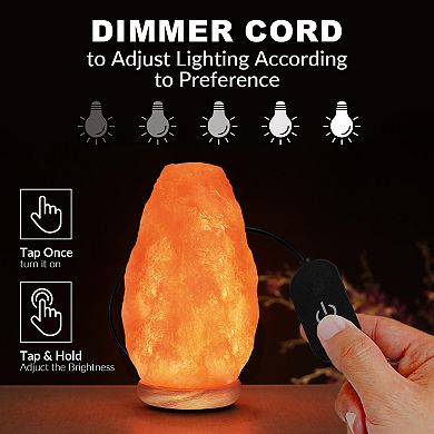 Himalayan Glow Salt Lamp, Pink Crystal Salt, Neem Wood Base, Dimmer Switch , 9 Lbs