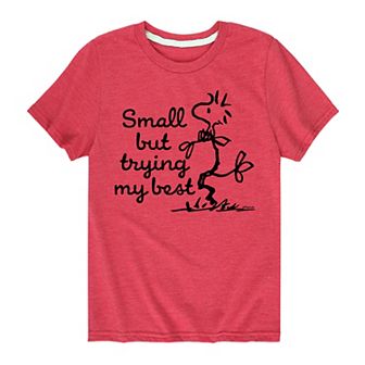 Boys 8-20 Peanuts Woodstock Small But Trying My Best Graphic Tee
