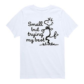 Boys 8-20 Peanuts Woodstock Small But Trying My Best Graphic Tee