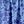 French Blue Flower