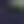 Navy Garden Print