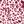 Shell Pink Animal