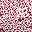 Shell Pink Animal