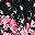 Black Peonies