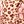 Pretty Taupe Animal