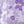 Pale Lilac Floral