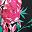 Black Floral