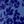 French Blue Flower