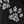 Black Animal Paw