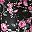 Black Floral