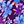 Radiant Purple