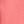 Sweet Coral