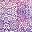 Purple Scroll Print