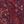 Rich Burgundy Tapestry