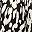 Black Ivory Print