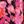 Black Pink Print