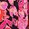 Black Pink Print