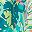Island Aqua Tropical