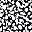 Black White Abstract