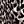 Classic Leopard