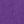 Purple Orchid