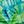 Just Fronds