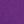Purple Orchid