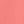 Sweet Coral