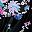 Black Blossoms