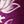 Boysenberry Floral