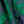Kelly Green Folk