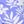 Periwinkle Mono Floral