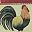 Rooster
