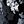 Black Graphic Bloom