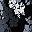 Black Graphic Bloom