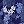 Navy Bloom