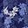 Navy Bloom