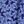 Navy Blossom