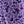 Purple Blossom