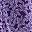Purple Blossom