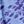 French Blue Flower