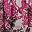 Pink Sketched Petals