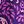 Purple Painted Scroll