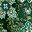 Rich Pine Folk Floral