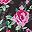Black Pretty Rose