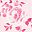Pink Pretty Rose