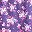 Plum Burst Bouquet