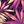 Black Tonal Palms