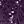 Purple Pennant